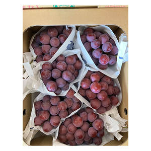 เกรดเยี่ยม คุณภาพดีเยี่ยม หลากหลายพันธุ์ องุ่นสีเขียว สีดำ สีแดงสด - Product Image 1