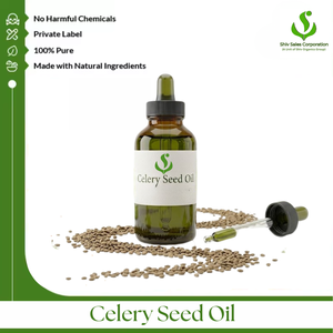 Distribuidor Mayorista de Aceite de Semilla de Apio que Ofrece Suministro Constante de Aceite Esencial para Fabricantes Internacionales de Cosméticos - Product Image 1