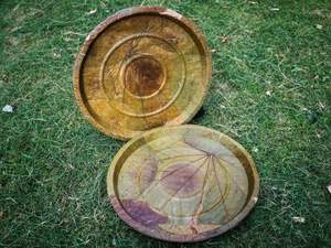 Platos de Hoja de Palma Resistentes, Paquete de 40, Vajilla Redonda Desechable Natural para Catering, Bodas, Fiestas y Uso en Puja - Product Image 2