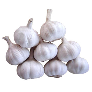 Ail blanc frais de qualité supérieure, grande taille, nouvelle récolte, emballage personnalisé, origine Thaïlande, toutes voies de transport, approvisionnement toute l'année - Product Image 3