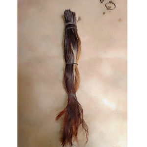 Best Quality Buffalo Natural <b>Black</b> Tail <b>Hair</b> Real Buffalo Ox Cow and Bull Tail <b>Hairs</b> From India for <b>Brush</b> Making Purpose - Product Image 1