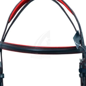 Bling Patent Leather <b>Equestrian</b> Horse Bridle Customization Available At Reasonable Price Horse Bridle By Alexandria Industries - Product Image 2