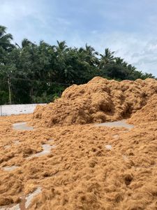 Bloc de tourbe de coco hydroponique, brique de fibre de coco, haute rétention d'eau, conditionneur de sol acide pour le jardinage - Product Image 5