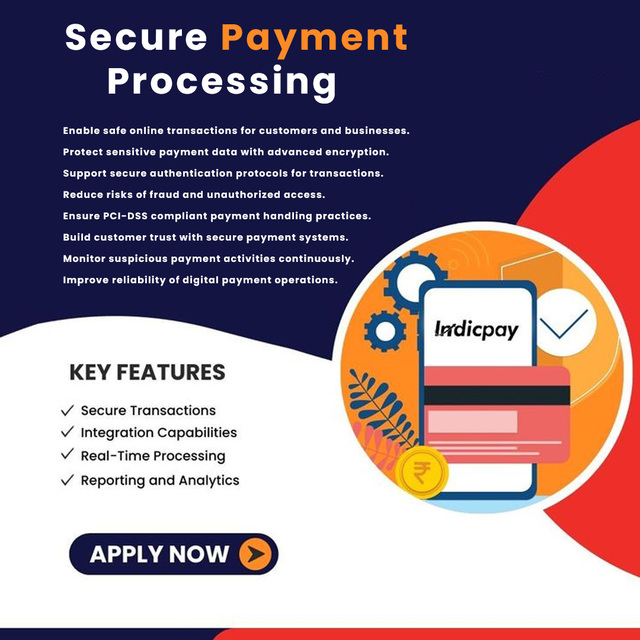 Professional Software Development for Startups Businesses and Enterprises Connect Direct Developer
