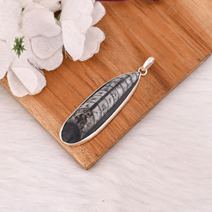 Pendentif en argent sterling 925 massif, pierre précieuse fossile Orthoceras, pendentif long fait main, pendentif en argent de créateur, cadeau d'anniversaire - Product Image 4