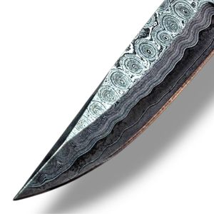 Couteaux d'extérieur professionnels avec lame fixe à motif Damas, manche décoratif en bois, rivets en laiton et tranchant affûté pour le camping - Product Image 4