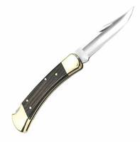Couteau de poche pliable professionnel en acier inoxydable réutilisable pour la castration du bétail, avec 2 lames