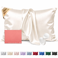 Taie d'oreiller de luxe 100% Soie de Mûrier, Taille Queen, 22 Momme, Double Face, Grade 6A, Fermeture à Enveloppe, Logo Personnalisé, 20 x 30, Pour Maison et Hôtel