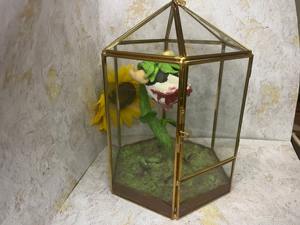 Decorative Glass Terrarium Tabletop Garden Display Perfect For <b>Study</b> Table Setup And Creative Work <b>Desk</b> Styling From India - Product Image 4
