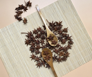 Anís estrellado de calidad premium y precio competitivo al por mayor, de proveedor vietnamita, especias secas naturales con calidad consistente para exportación. - Product Image 1