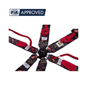 Harnais de course TBRACING SPORT PLUS 5 points, certifié FIA, ceinture de sécurité 6 points, OEM ODM, logo et couleur personnalisés pour les équipes - Product Image 1