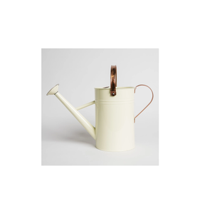 Arrosoir de jardin en métal avec long bec, double poignée et douchette amovible, arrosoir à plantes en métal durable pour l'intérieur - Product Image 5