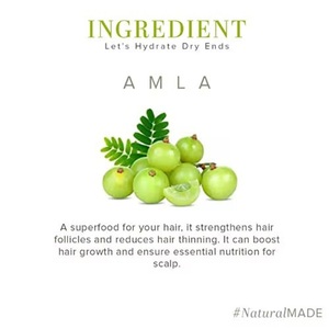 Huile pour cheveux Amla |   Formule nourrissante végane 2-en-1 pour des cheveux plus épais et plus sains avec force naturelle, brillance et soin des racines - Product Image 6