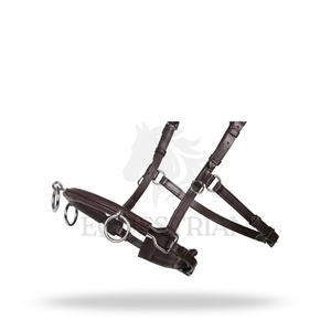 CAVESSON <b>LEATHER</b> BRIDLE FULL SIZE ENGLISH RIDING BRIDLE FOR HORSE TRAINING - Product Image 3