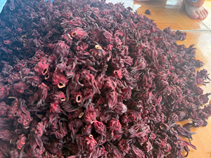 Pétales d'hibiscus séchés naturels, fleurs d'hibiscus entières pour les tisanes et les ingrédients botaniques - Product Image 2