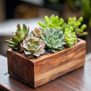 Ensemble de supports pour plantes miniatures, design minimaliste moderne, fabrication artisanale, qualité supérieure, prix d'usine en gros - Product Image 2
