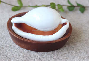 Conchas Marinas Blancas de 7-10 cm, Conchas de Cauri de Vietnam Pulimentadas para Manualidades, Joyería y Decoración del Hogar - Product Image 5