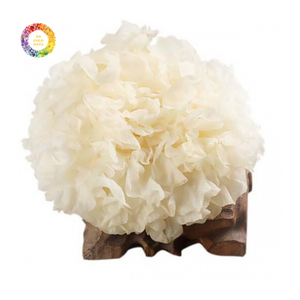 Fonge blanche séchée, Tremella séchée, ingrédient de champignon de qualité alimentaire naturelle pour importateurs en gros et exportation en vrac - Product Image 1