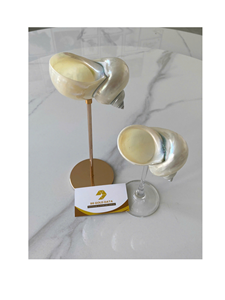 Copa de Vino con Forma de Concha de Caracol, Hecha a Mano, Decorativa para Bar, Boda o Fiesta con Temática Costera - Product Image 6