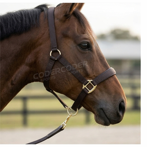2026 Best-seller Halter pour cheval en corde de nylon durable, style arabe à paillettes, design moderne, personnalisable, marque privée - Product Image 5