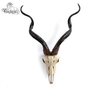 VERONESE DESIGN OEM Disponible Green Man Printemps Champignon Plaque Murale DÉCORATION MAISON ARTISANAT EN RÉSINE - Product Image 5