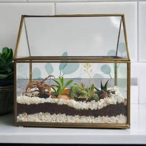 Big Glass Terrarium With Metal <b>Frame</b> <b>Large</b> Indoor Planter For Home Office Living Room And Modern Decor Styling From India - Product Image 3