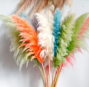 Custom Color Pink White Beige Dry Pampas Grass Large Fluffy Natural Wedding Decor Preserved Dried Flower Pampas Grass Bouquet