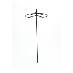Support métallique pour amaryllis, support pour tiges de fleurs, support pour plantes d'intérieur et d'extérieur, support pour plantes de jardin - Product Image 4