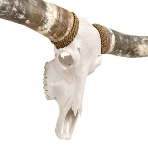 Elegante Decoración de Pared con Calaveras de Búfalo y Toro Talladas a Mano, Cuernos Majestuosos, Diseño Cultural Moderno para el Hogar - Product Image 1