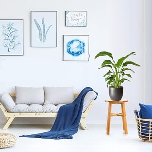 Bamboo Wood <b>Step</b> <b>Stool</b> Eco-Friendly Sustainable Natural Blonde Wholesale - Product Image 2