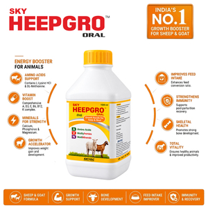 HeepGrow Multivitamines, Multiminéraux et Acides Aminés Stimulant la Croissance avec Soutien Immunitaire Sans Céréales pour Moutons et Chèvres |   Pack 1 Litre - Product Image 4