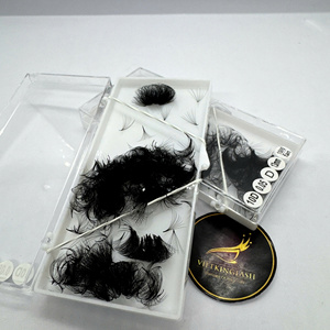 Nouvel Arrivage Cils en Grappe Coréens PBT 10D 13mm Volume Complet Éventails Préfabriqués Base Pointue Faits Main Personnalisés Fabriqués au Vietnam - Product Image 5