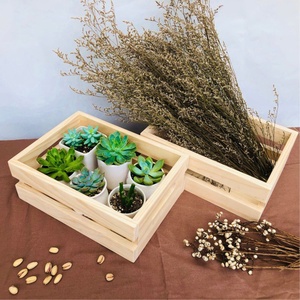 Caja de maceta de flores de madera Cajas de flores de paisaje de plantas Caja de plántulas de madera Proveedores al por mayor para la venta - Product Image 1