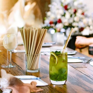 New Stylish Reusable <b>Bamboo</b> Eco-Friendly Beverage <b>Straws</b> for Restaurants Outdoor Catering Party Drink Serving Cocktail Bars - Product Image 3