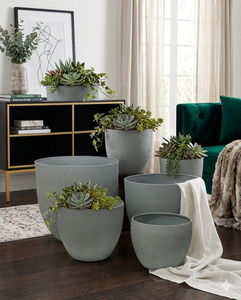 Maceta con Forma de Tazón, Recubierta de Hierro, Duradera, Multiusos, para Interiores, con Drenaje - Product Image 5