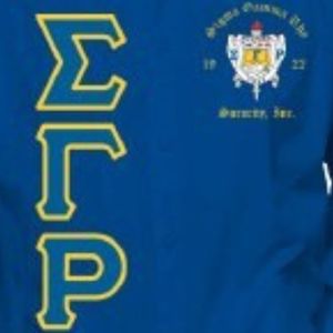 Royal Blue Women's Long Sleeve Button Down <b>Dress</b> Shirt with Gold Embroidered Greek Letters Sorority Formal Apparel - Product Image 2