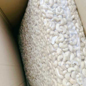 Échantillon GRATUIT de noix de cajou en vrac, prêtes à être expédiées, SANTIGO - Product Image 1