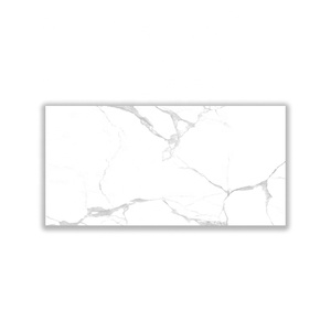 Carreaux de porcelaine 600x1200mm Finition rectifiée haute brillance pour mur et sol Résistant à l'eau Idéal pour l'intérieur et l'extérieur - Product Image 4