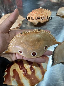 Premium <b>Crab</b> Shell Viet Delta Co. LTD for Commercial Kitchen <b>Crab</b> Paste 2 Year Shelf Life Optimized Packing Large Volume - Product Image 2