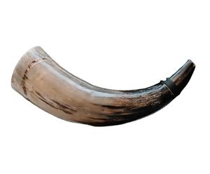 Corne soufflante naturelle Viking Corne à boire animale polie-15-17 pouces pour une expérience Viking authentique - Product Image 1