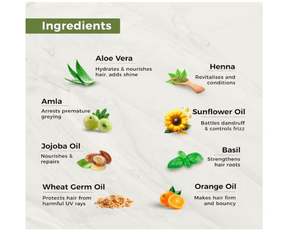 INDUS VALLEY Coloration capillaire naturelle sans dommages pour femmes, sans ammoniaque ni PPD, coloration capillaire organique avec 100% de couverture des cheveux gris - Product Image 4