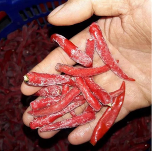 Piment surgelé IQF de qualité supérieure en provenance du Vietnam |   Piments entiers et coupés |   Fournisseur d'exportation en gros - M. Alex Truong - Product Image 4