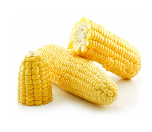 Maïs jaune - Maïs sucré jaune français en gros pour l'alimentation animale |   Grains de maïs séchés en gros disponibles au prix de gros - Product Image 3