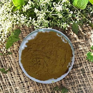 ผงส้มแขก 20 กก. ปรับแต่งได้ รับผลิตแบบ Private Label ODM OEM อาหารเสริมสมุนไพรสำหรับผู้ใหญ่และสตรีมีครรภ์ - Product Image 2