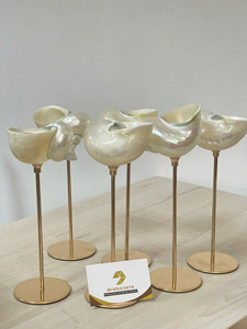 Trendy 2026 <b>Light</b> Luxury Conch <b>Shell</b> Champagne Flute Glass Household Drinking Set Home Bar Decor Wedding Gift - Product Image 4
