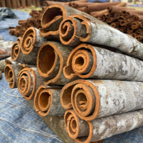 Rohr Cimet/Cassia/Zimt en gros à prix abordable de l'usine du Vietnam - Service d'emballage de détail - Product Image 5