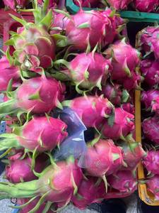 Fruit du Dragon du Vietnam Fournisseur en gros d'exportation Fruits tropicaux sucrés frais Chair blanche Chair rouge pour la distribution mondiale - Product Image 5