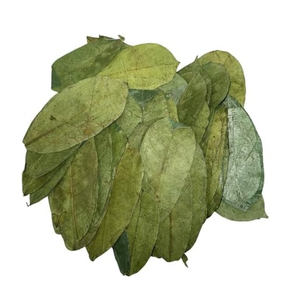 Proveedor de Materia Prima para Té de Hojas Secas de Guanábana - Product Image 4