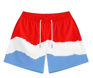 Pantalones Cortos de Baloncesto de Malla para Hombre de Alta Calidad, Transpirables, de Secado Rápido, con Logotipo Personalizado, OEM, ODM, Proveedor Mayorista - Product Image 1