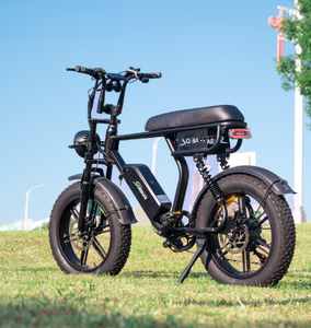 Vélo électrique pour adultes, 250W, 500W, 1000W, avec pneus larges de 20 pouces, vélo de montagne électrique, vélo tout-terrain, fatbike, entrepôt UE - Product Image 1